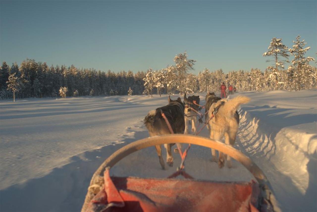 Arctic Panorama Lodge Uløybukta 외부 사진